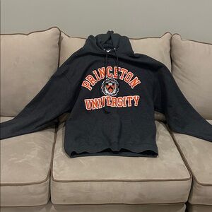 Champion Dark Gray Princeton University Sweater men’s large